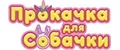Прокачка для собачки