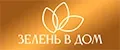 Зелень в дом