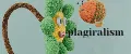 plagiralism