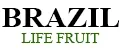 Brazil Life Fruit