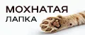 МохнатаяЛапка