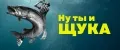 Ну ты и Щука