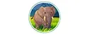 GUOELEPHANT