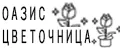 Оазис Цветочница