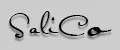SaliCO