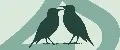 2Starlings