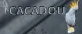 Cacadou