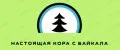 Kora Premium