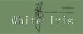 White Iris