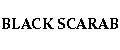 BLACK SCARAB