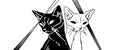 BW CAT