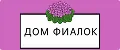 Дом фиалок