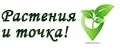 Растения и точка