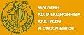 Кактус-Базар