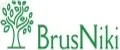 BrusNiki