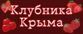 Клубника Крыма