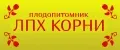 ЛПХ КОРНИ