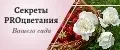 Секреты PROцветания