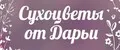 Сухоцветы от Дарьи