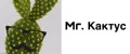 Mr. Кактус