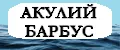 АКУЛИЙ БАРБУС