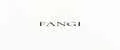 FANGI
