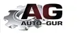 Авто-гур