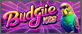 Budgie Kids