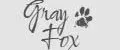 Gray Fox