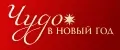 Чудо в Новый год
