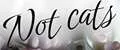 Not cats