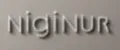 NIGINUR