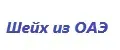 Шейх из ОАЭ