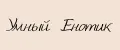 Умный Енотик