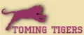 Toming tigers