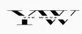 Y2k Wave