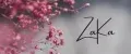 ZaKa_shop