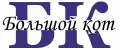 Большой кот