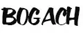 IRENBOGACH