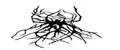 Conjunctiva
