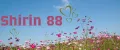 Shirin 88