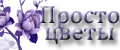 Просто цветы