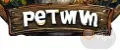 Pet Town
