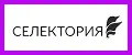 Селектория