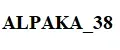 Alpaca_38
