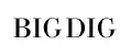 BIG DIG