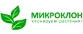 Микроклон