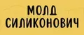 Молд Силиконович