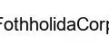 FothholidaCorp