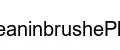 CleaninbrushePlus